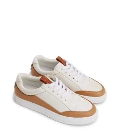 EVERLY Women's Vegan Skate Shoes -Fashion Clothing Store FW22 Shoes Everly whitemix 3