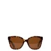 CLEA Wayfarer Sunglasses -Fashion Clothing Store FW23 Sunglasses Clea Brown 1